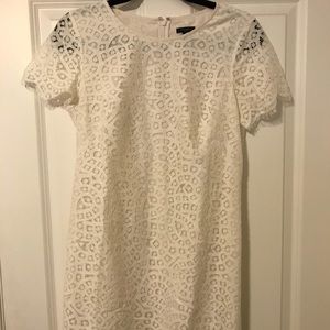 White shirt sleeve sheath dress. Light and airy.